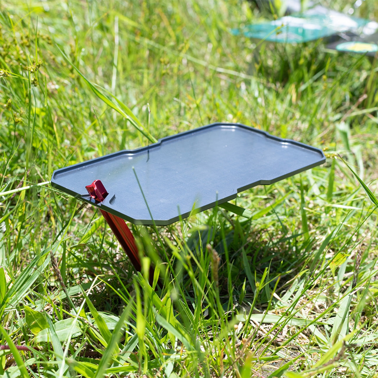 TiNY|Multi Plate