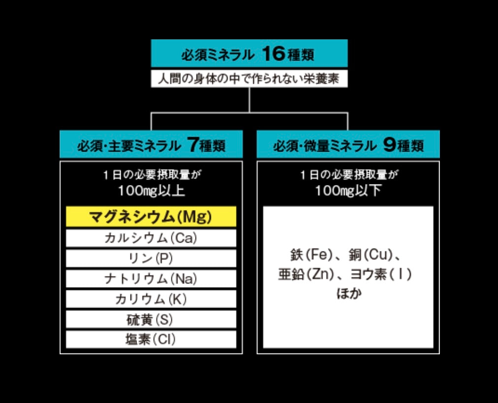 Mag-on ボディローション